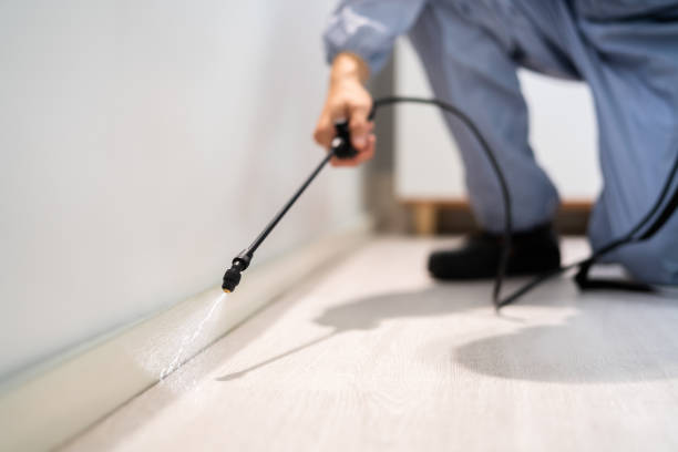 Licensed Pest Control service in Harrison County County, OH - Nex Pest Control
